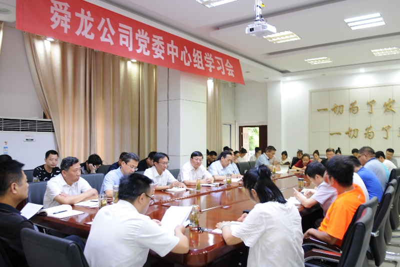舜龍公司召開“講忠誠、嚴(yán)紀(jì)律、立政德”專題警示教育動員會